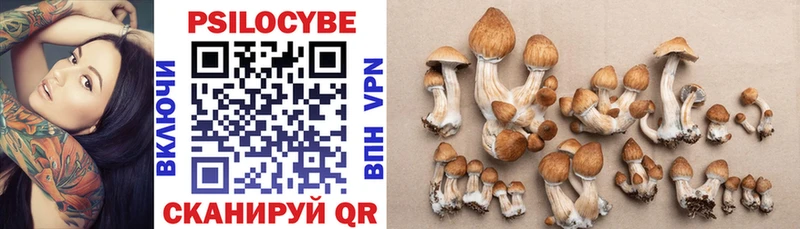 Псилоцибиновые грибы Psilocybine cubensis купить наркотик МЕГА зеркало Горячий Ключ